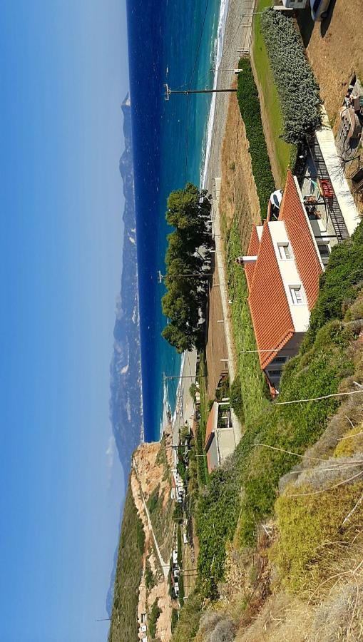 Villa Dimitra Mourteri Esterno foto